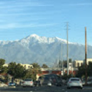 Meet your Posher, Bridgette